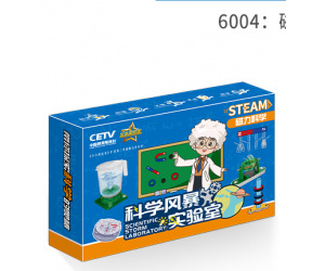 6004